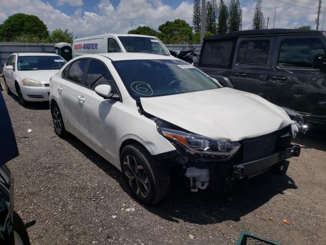 KIA FORTE FE 2019 3kpf24adxke039797