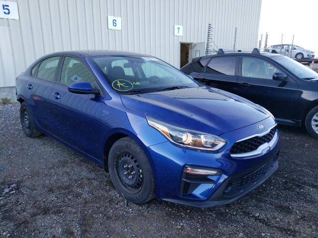 KIA FORTE FE 2019 3kpf24adxke039928