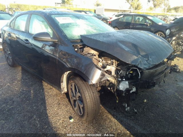 KIA FORTE 2019 3kpf24adxke040111