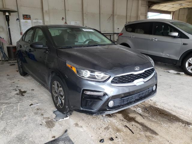 KIA FORTE FE 2019 3kpf24adxke040755