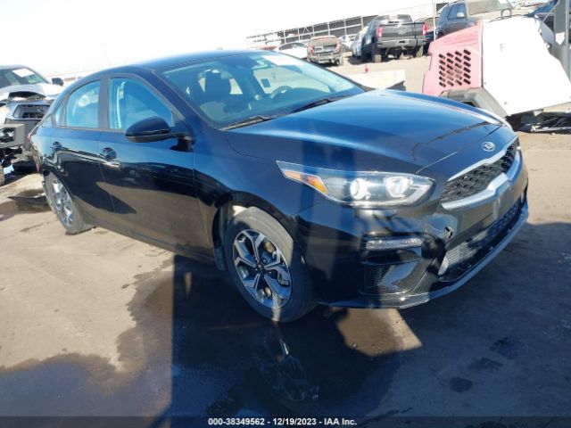 KIA FORTE 2019 3kpf24adxke042599