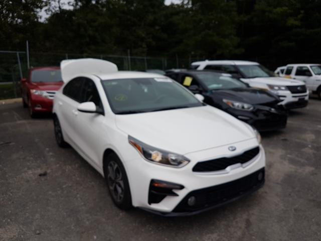 KIA FORTE FE 2019 3kpf24adxke044482