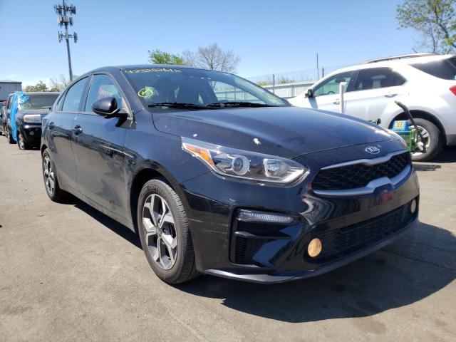 KIA FORTE FE 2019 3kpf24adxke047236