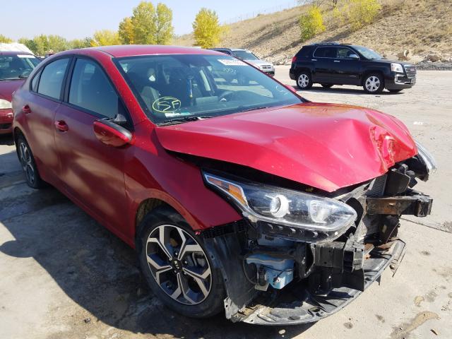 KIA FORTE FE 2019 3kpf24adxke049245