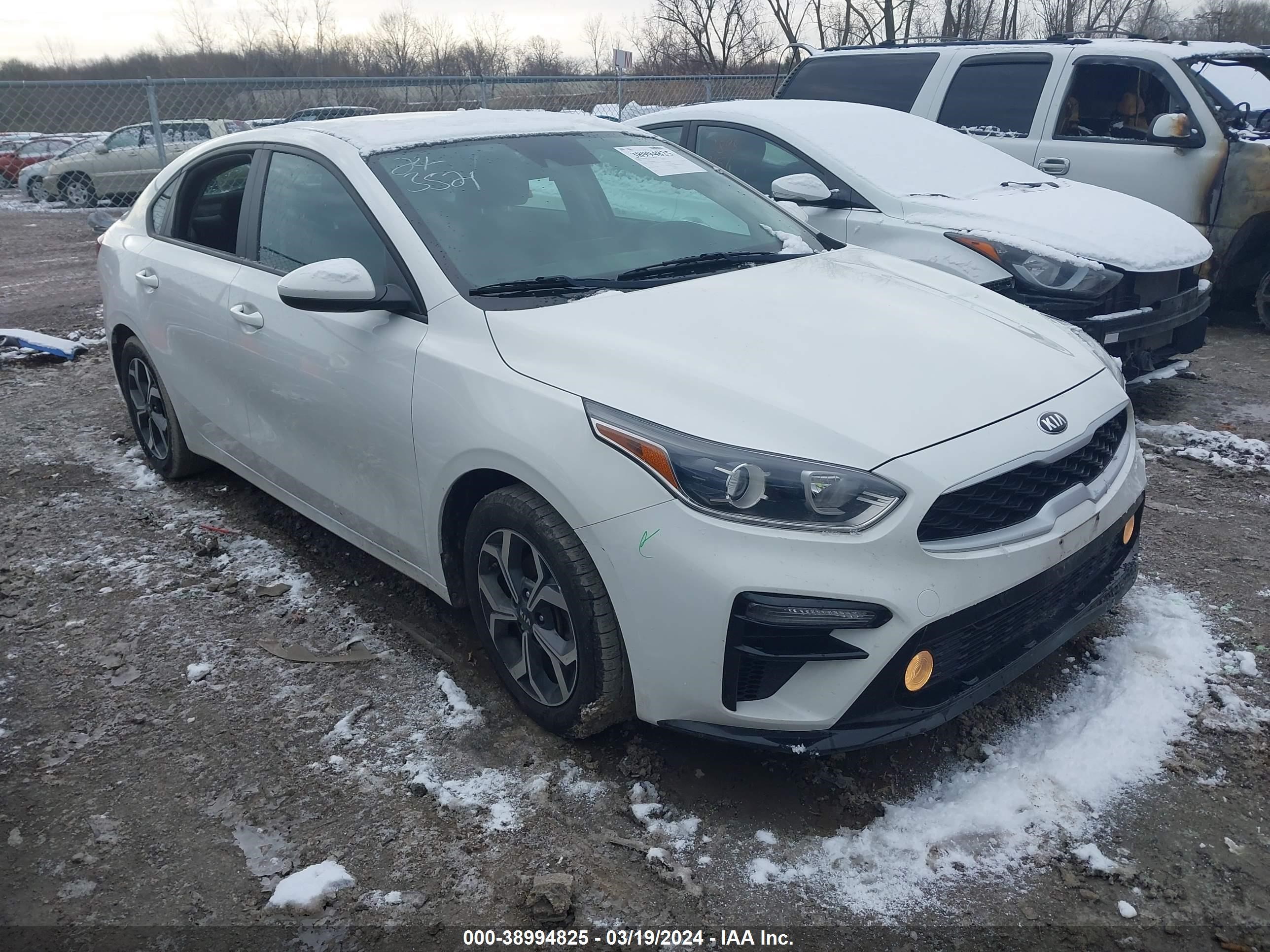 KIA FORTE 2019 3kpf24adxke050685