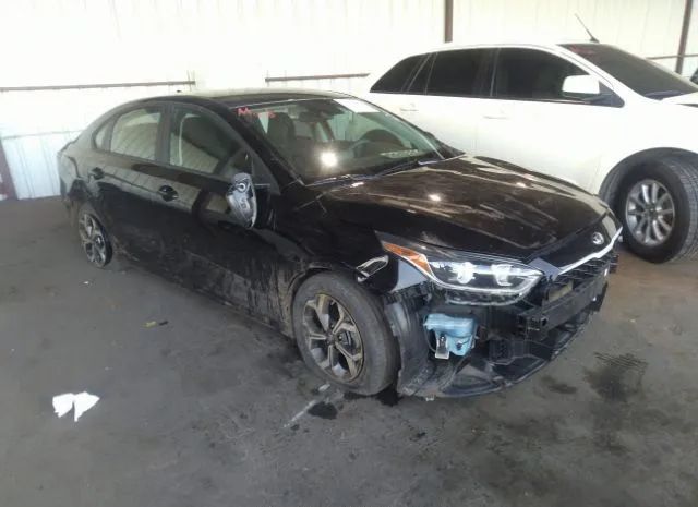 KIA FORTE 2019 3kpf24adxke065669