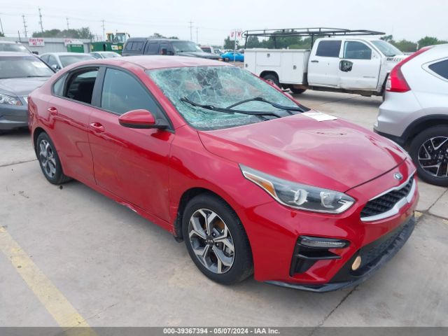 KIA FORTE 2019 3kpf24adxke065851