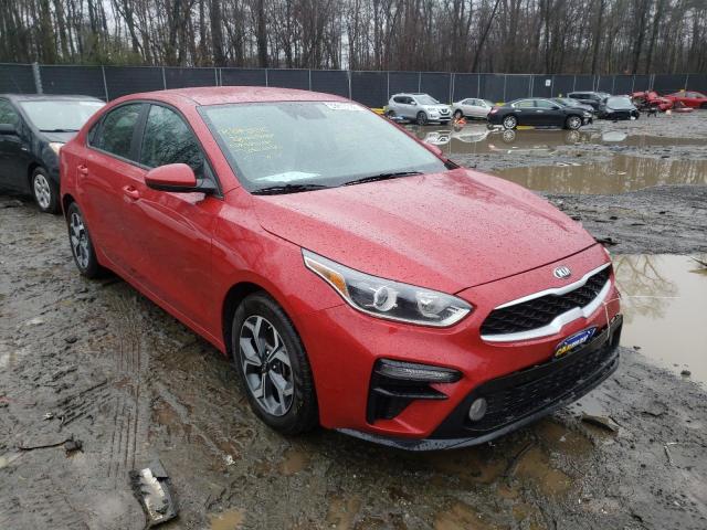 KIA FORTE FE 2019 3kpf24adxke074274