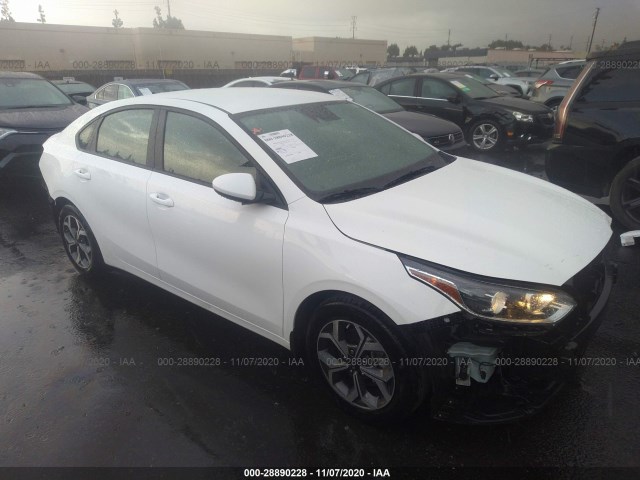 KIA FORTE 2019 3kpf24adxke080155