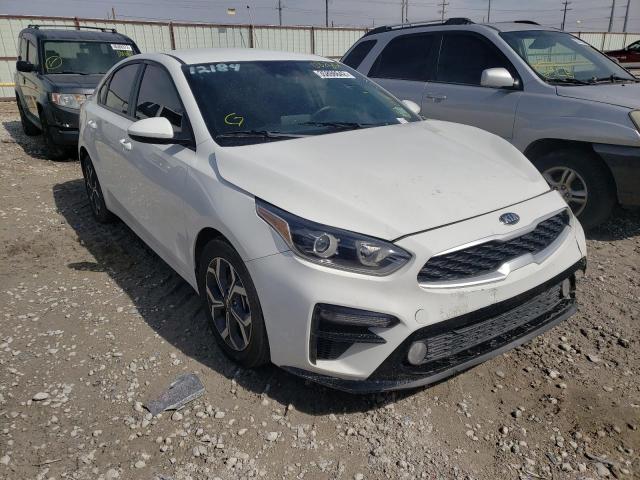 KIA FORTE FE 2019 3kpf24adxke082861