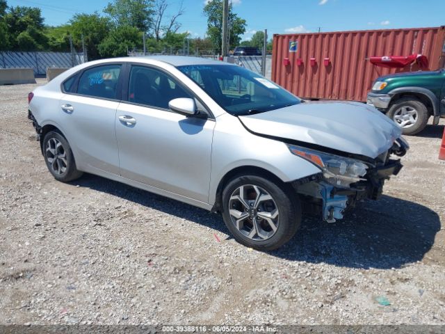 KIA FORTE 2019 3kpf24adxke083461