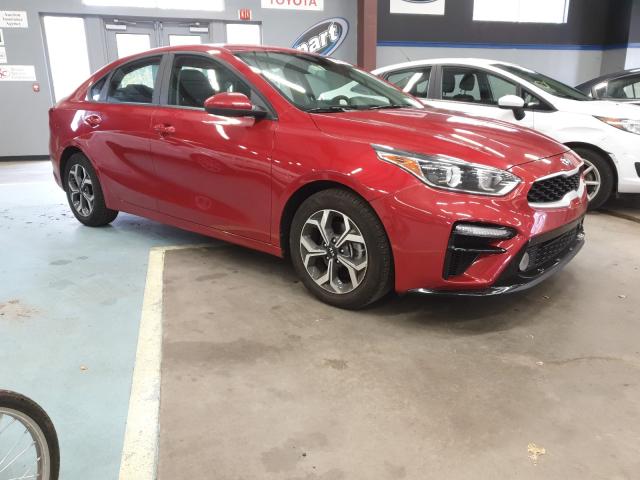 KIA FORTE FE 2019 3kpf24adxke086716