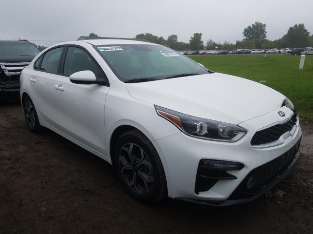 KIA FORTE FE 2019 3kpf24adxke087283