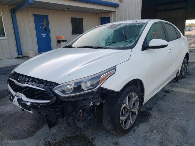 KIA FORTE FE 2019 3kpf24adxke087526