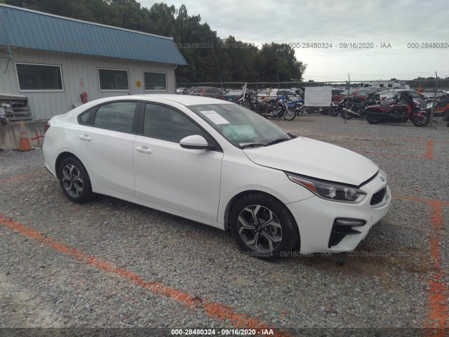 KIA FORTE 2019 3kpf24adxke090393