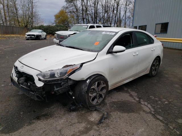 KIA FORTE FE 2019 3kpf24adxke092967