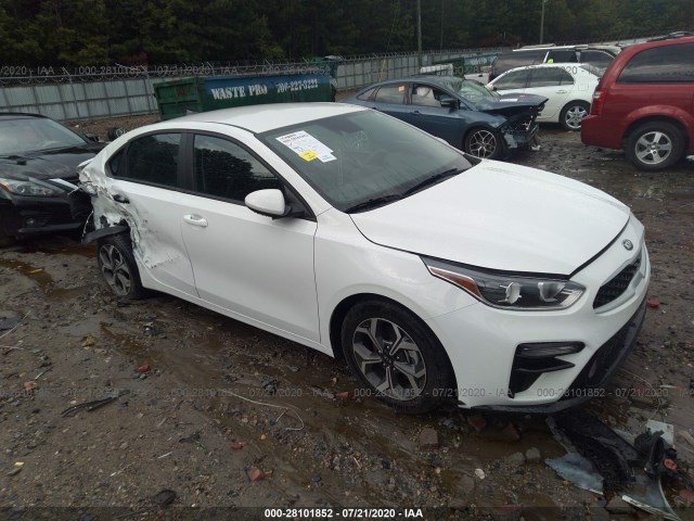 KIA FORTE 2019 3kpf24adxke096064