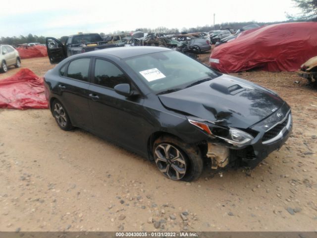 KIA FORTE 2019 3kpf24adxke097599