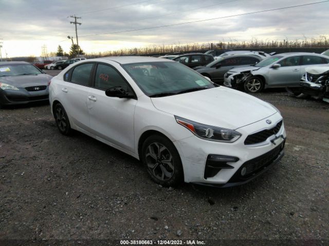 KIA FORTE 2019 3kpf24adxke104843