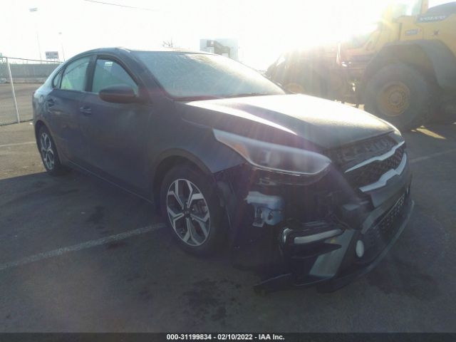 KIA FORTE 2019 3kpf24adxke106849