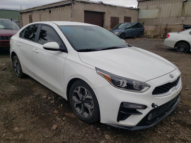 KIA FORTE FE 2019 3kpf24adxke107385