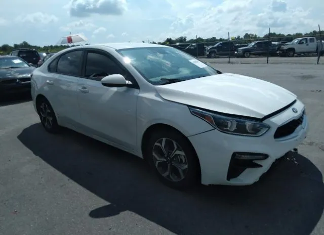 KIA FORTE 2019 3kpf24adxke109413