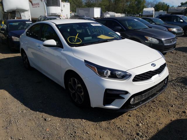 KIA FORTE FE 2019 3kpf24adxke112229