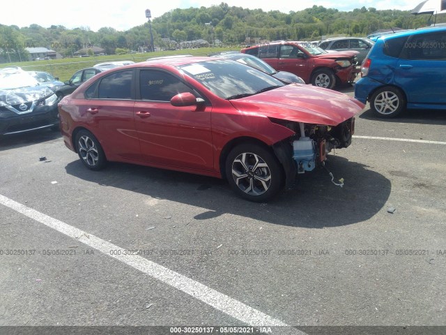 KIA FORTE 2019 3kpf24adxke113879