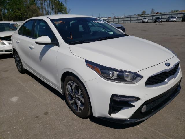 KIA FORTE FE 2019 3kpf24adxke127362