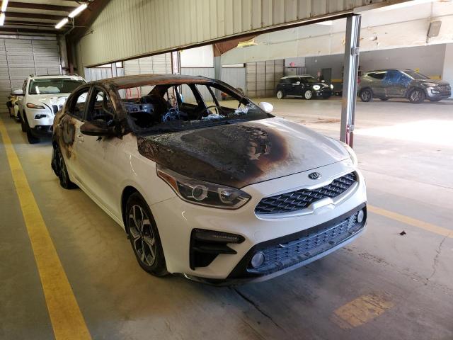 KIA FORTE FE 2019 3kpf24adxke128043