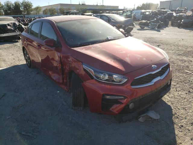 KIA FORTE FE 2019 3kpf24adxke129631