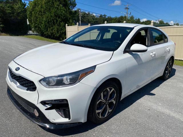 KIA FORTE FE 2019 3kpf24adxke131153