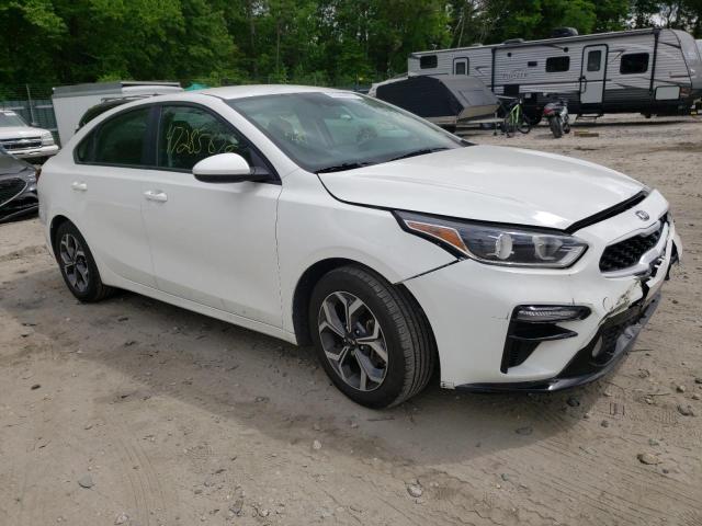 KIA FORTE FE 2019 3kpf24adxke131587