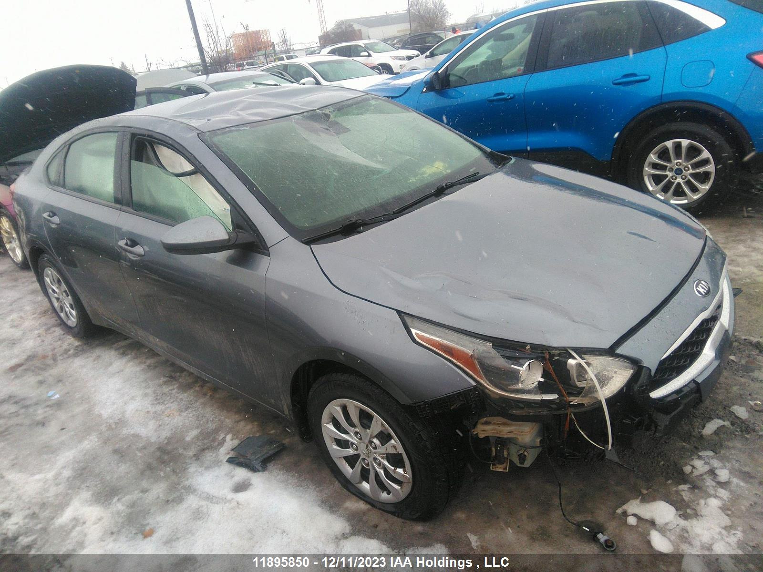 KIA FORTE 2019 3kpf24adxke133937