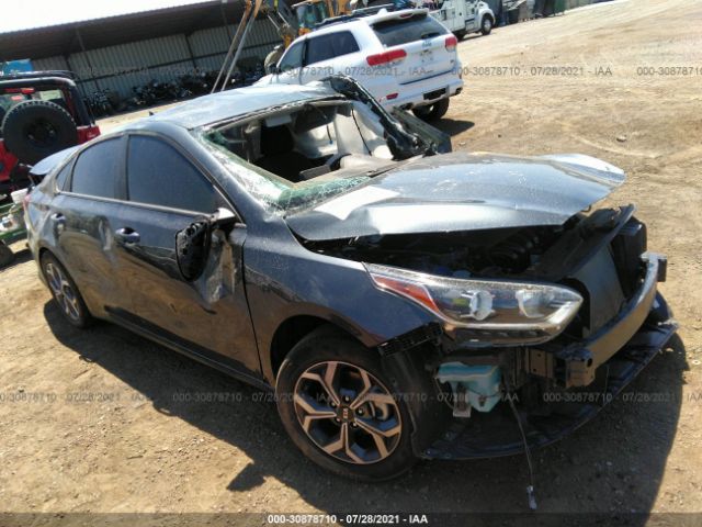 KIA FORTE 2019 3kpf24adxke136630