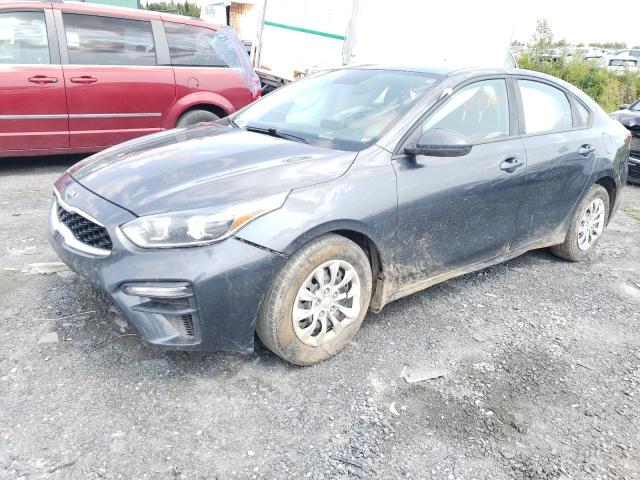 KIA FORTE 2020 3kpf24adxle144471