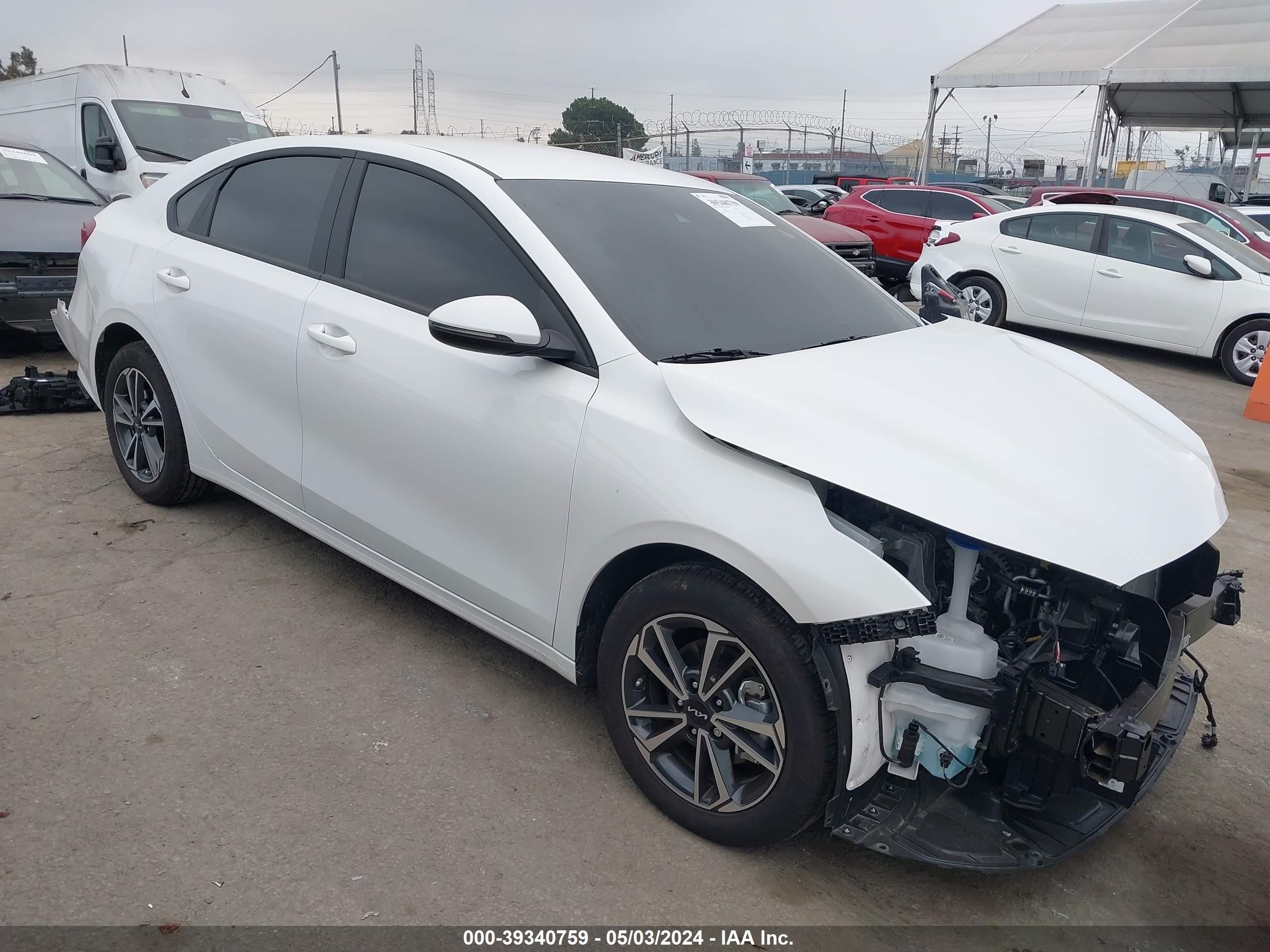 KIA FORTE 2024 3kpf24adxre731763