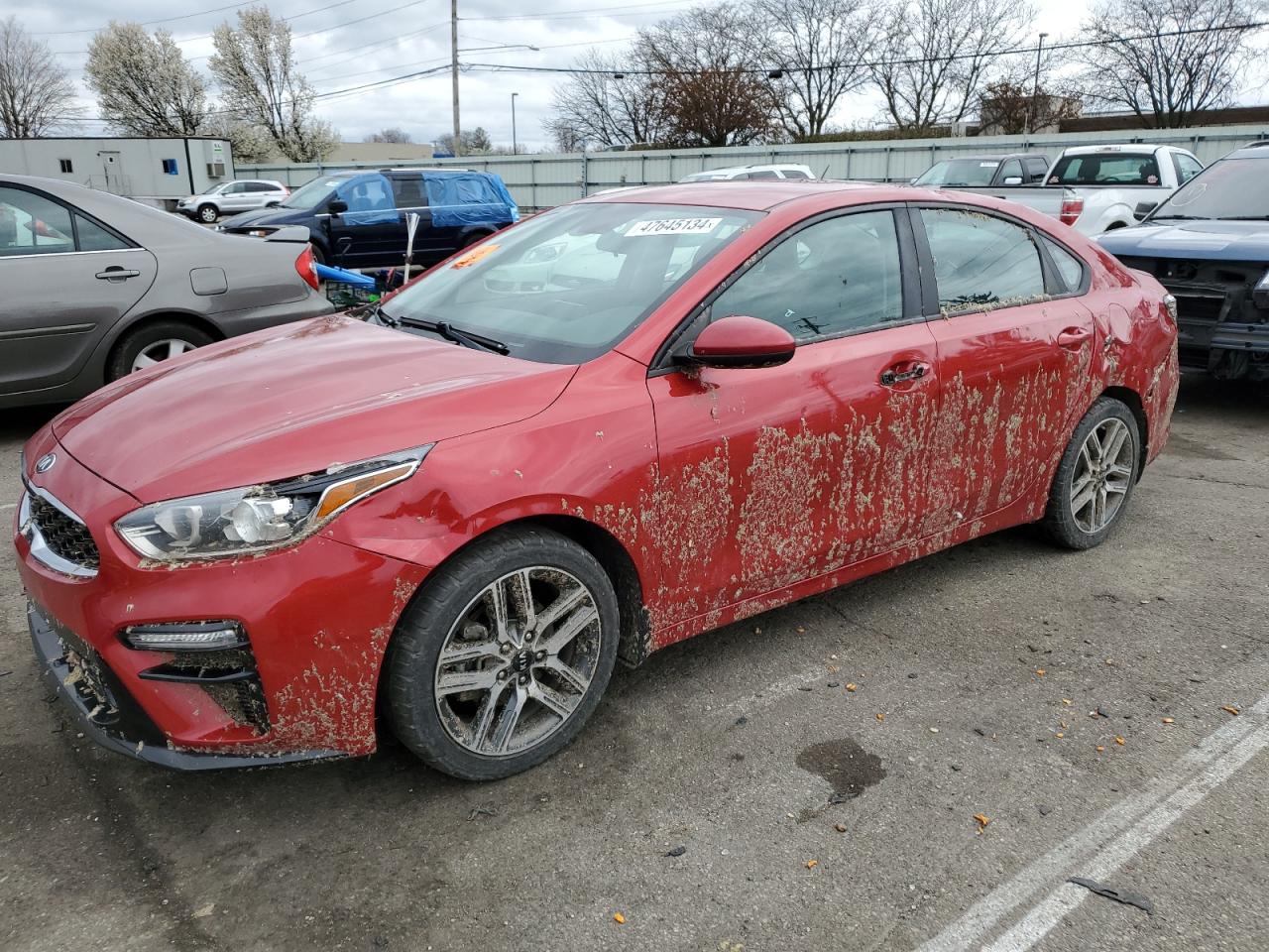 KIA FORTE 2019 3kpf34ad4ke016223