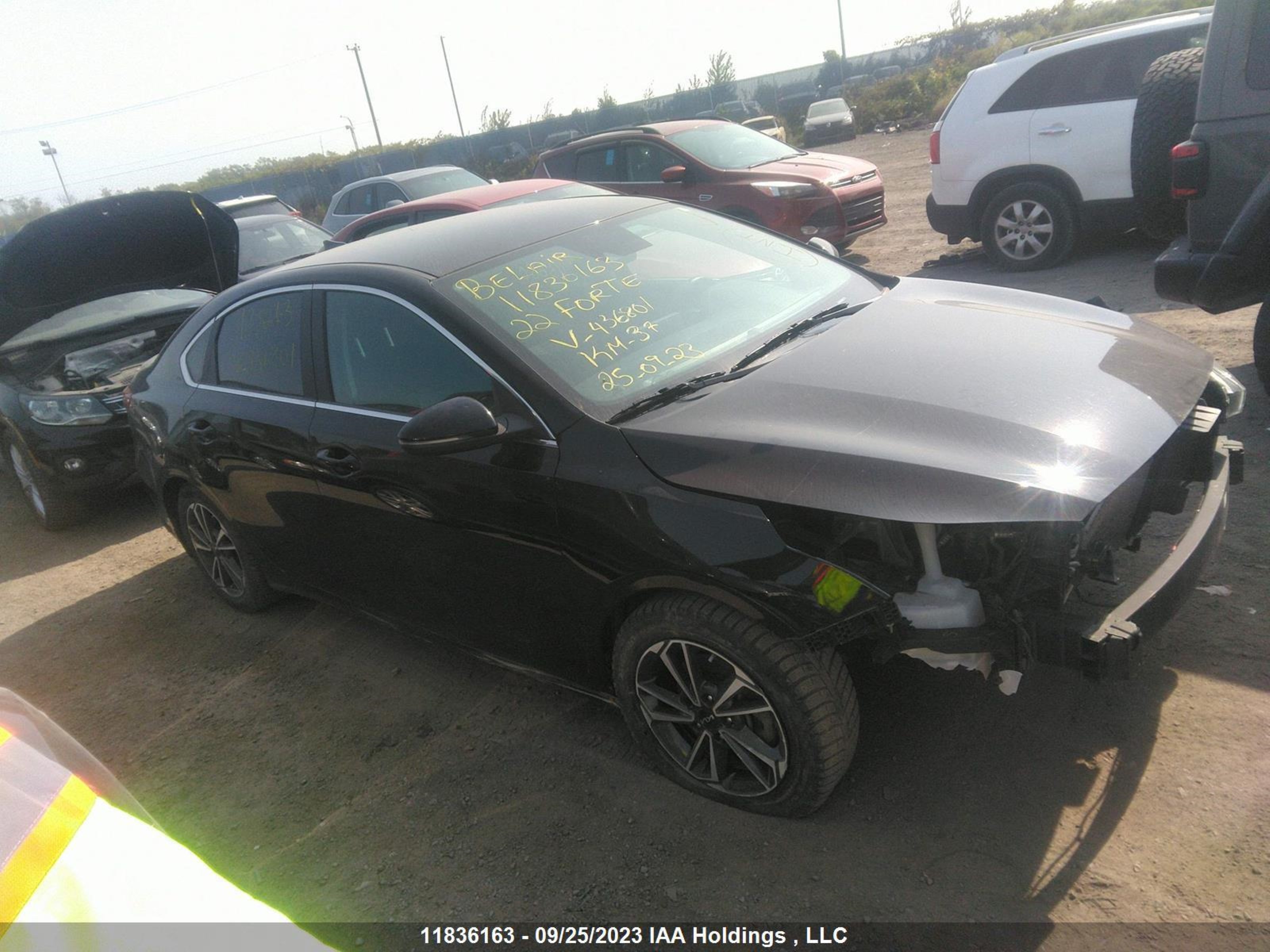 KIA FORTE 2022 3kpf34ad8ne436801