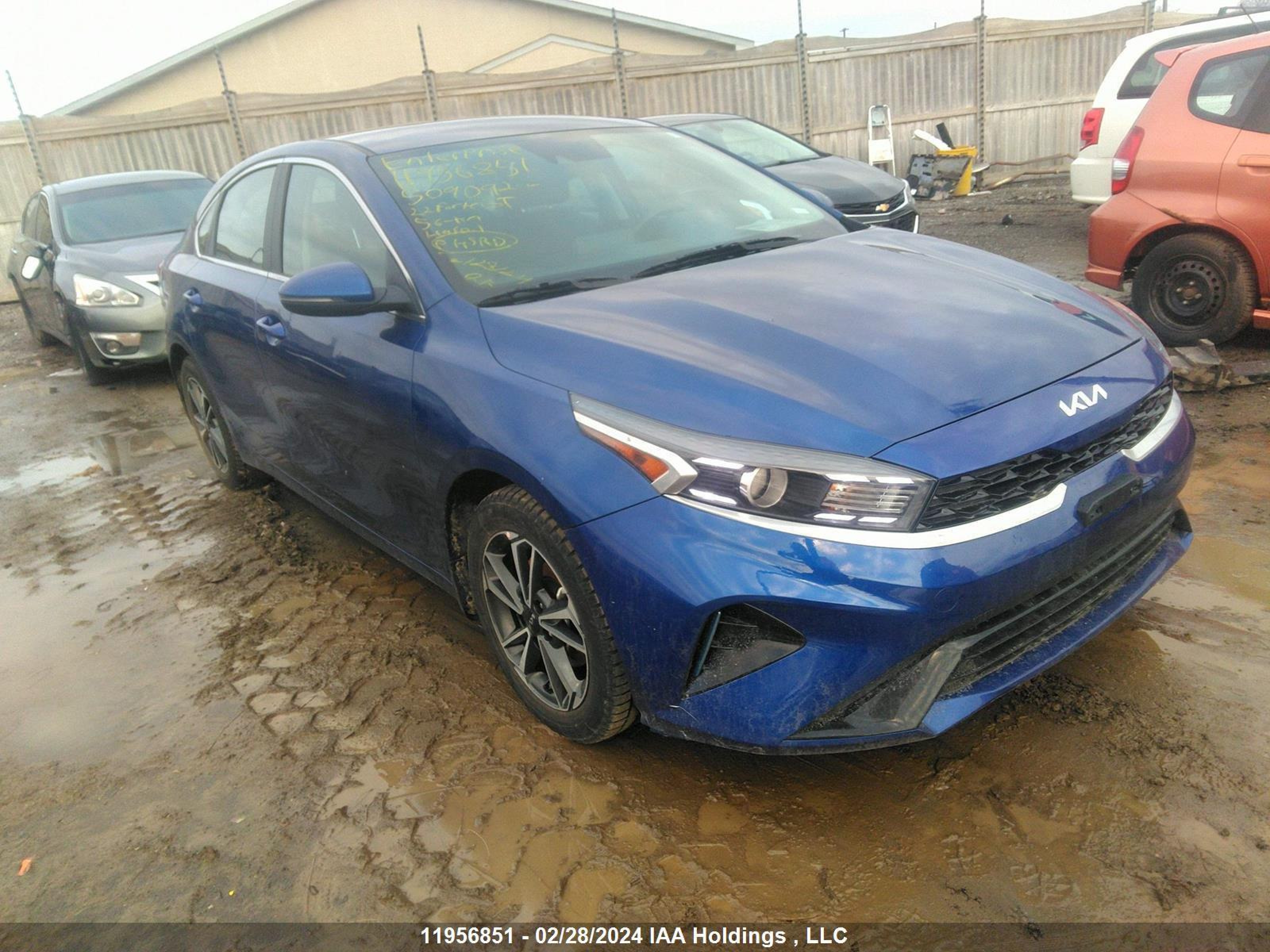 KIA FORTE 2022 3kpf34ad9ne509092