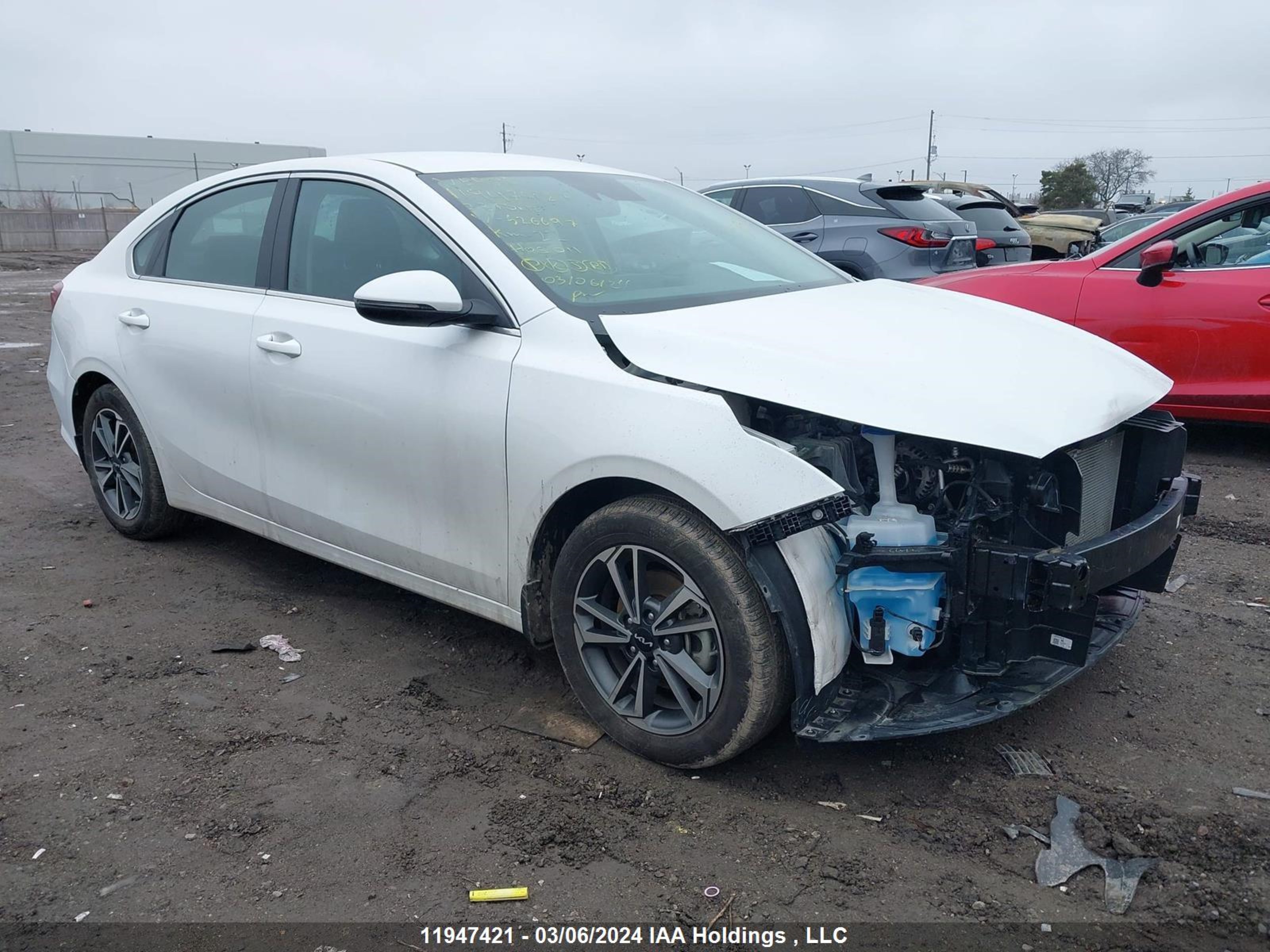 KIA FORTE 2023 3kpf34adxpe626697