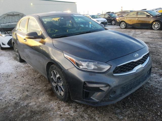 KIA FORTE EX 2019 3kpf54ad0ke101327