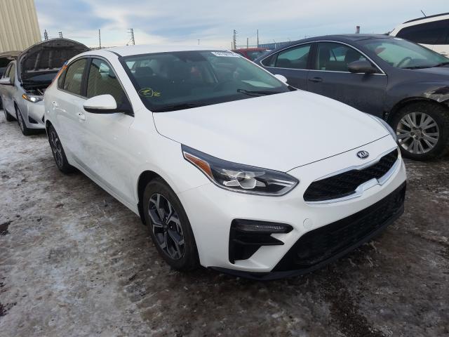 KIA FORTE EX 2019 3kpf54ad1ke102552