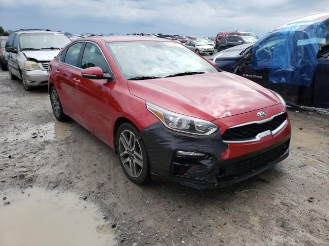 KIA FORTE EX 2019 3kpf54ad2ke030650