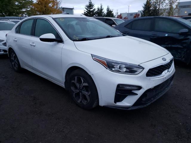 KIA FORTE EX 2019 3kpf54ad4ke082569