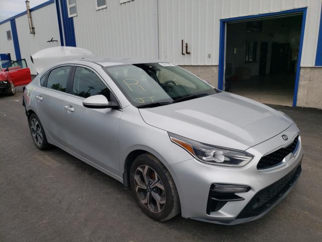 KIA FORTE EX 2019 3kpf54ad5ke053095