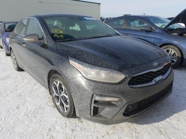 KIA FORTE EX 2019 3kpf54ad6ke036273