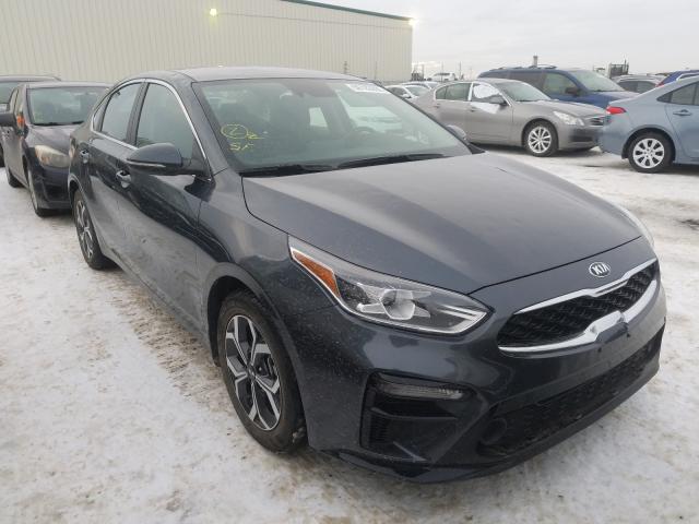 KIA FORTE EX 2019 3kpf54ad7ke082243