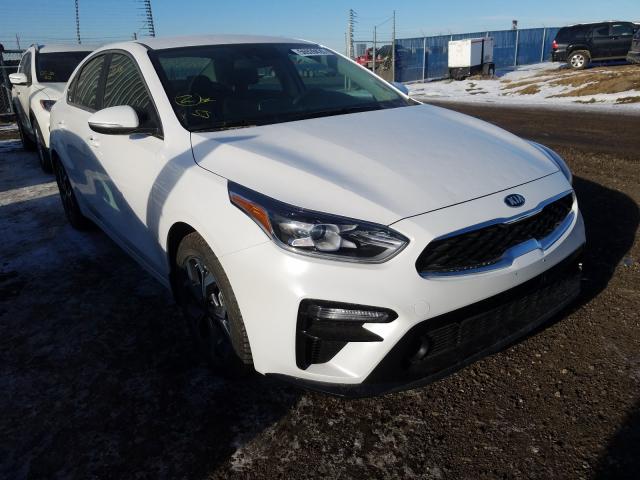 KIA FORTE EX 2019 3kpf54ad7ke116603