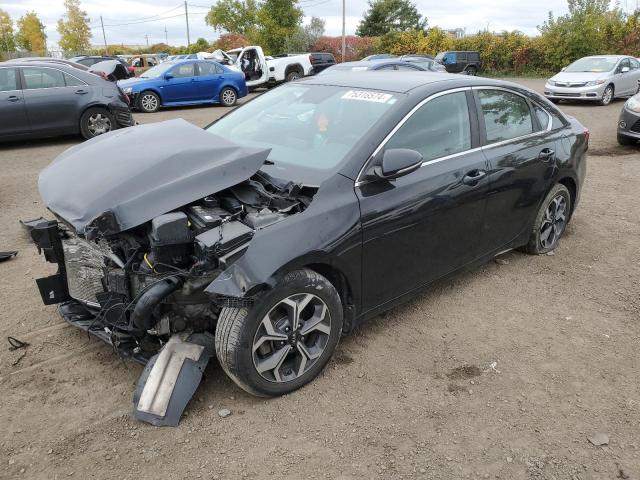 KIA FORTE EX 2019 3kpf54ad7ke122384